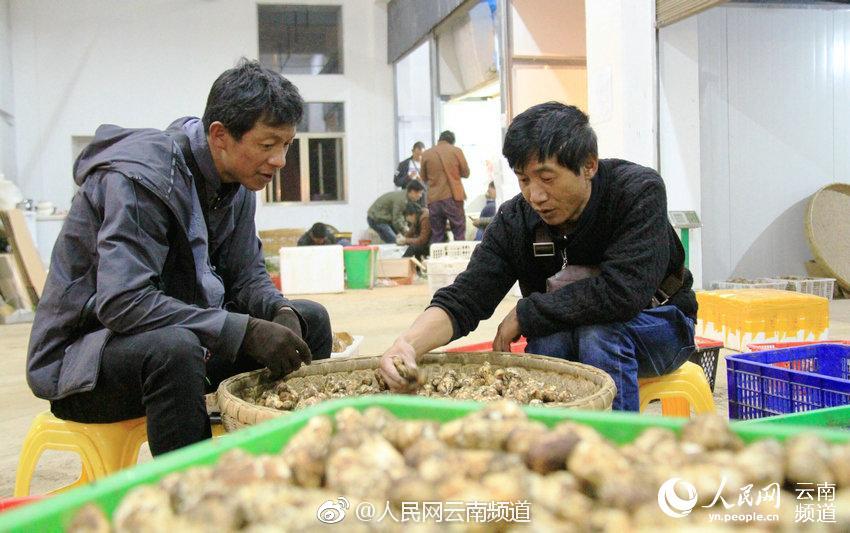 28日京二手住宅网签621套_云电脑服务