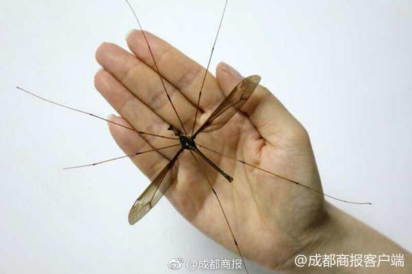 吴怀尧：明星作家榜首富是他_9929DevOps环境