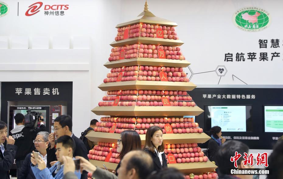 惊奇!英国动物园一黑熊用布条蘸水给自己洗澡