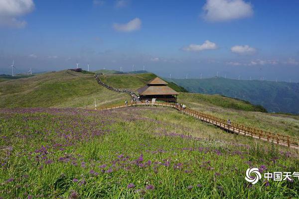 大学生手绘百米画卷致敬五四_虚拟机挂机宝