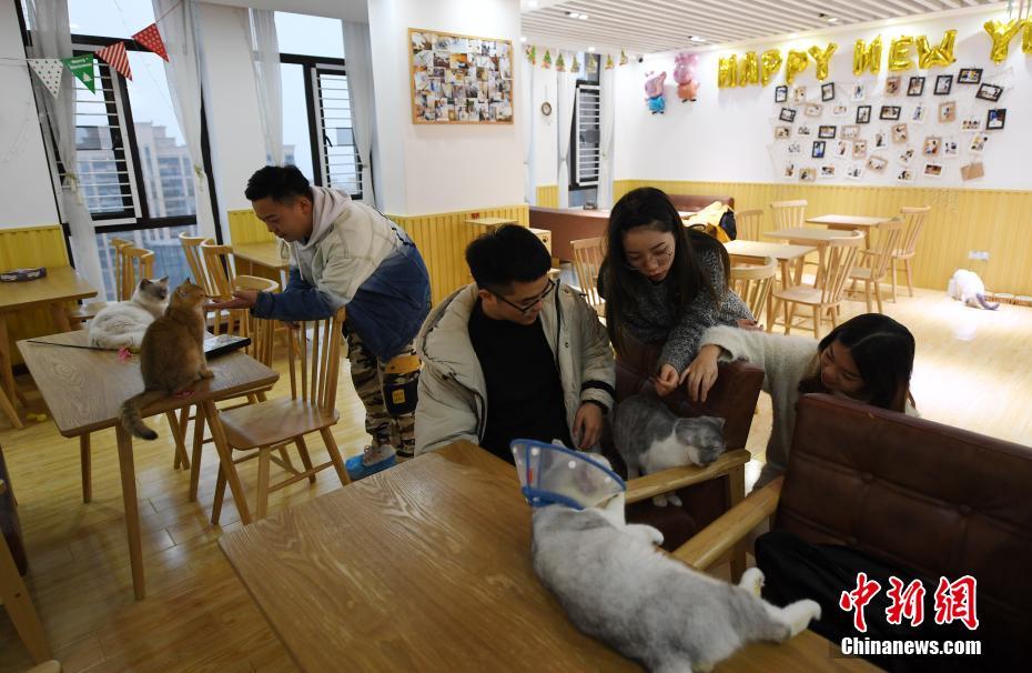 大学生手绘百米画卷致敬五四_虚拟机挂机宝