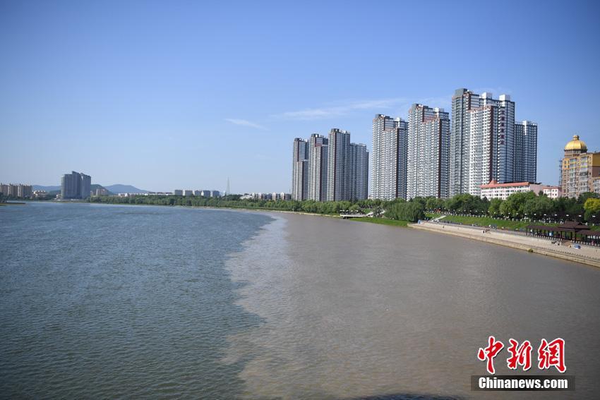 深圳9岁男童遭3只大狗追撵，狗主人全程淡定_网站服务器