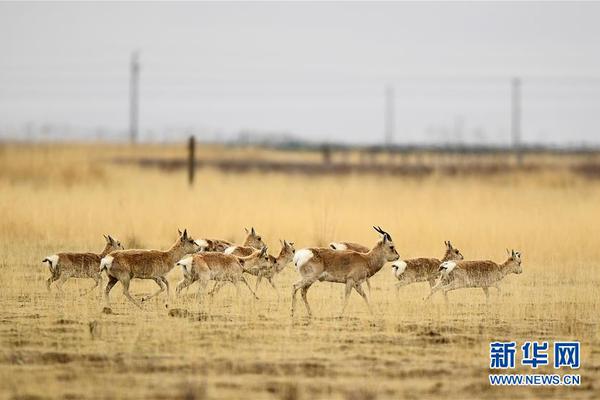 北七家限竞房金辰府户型曝光 89平3居470万/套起_在线教育云服务器
