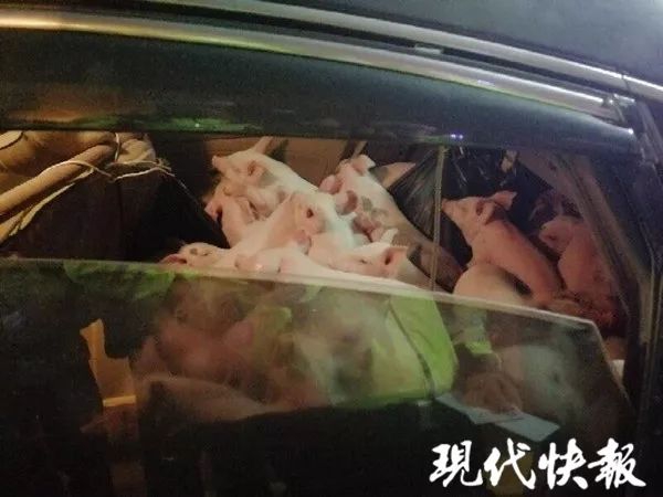 北京《网络空间法治化治理白皮书》首次发布_杭州云服务器