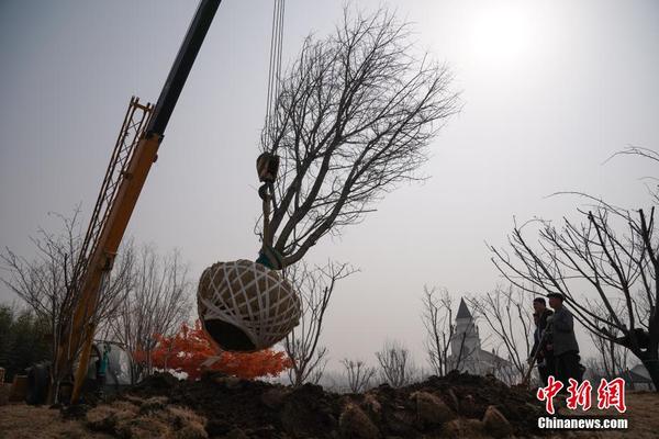 战胜塑料污染 建设美丽中国_云电脑升级
