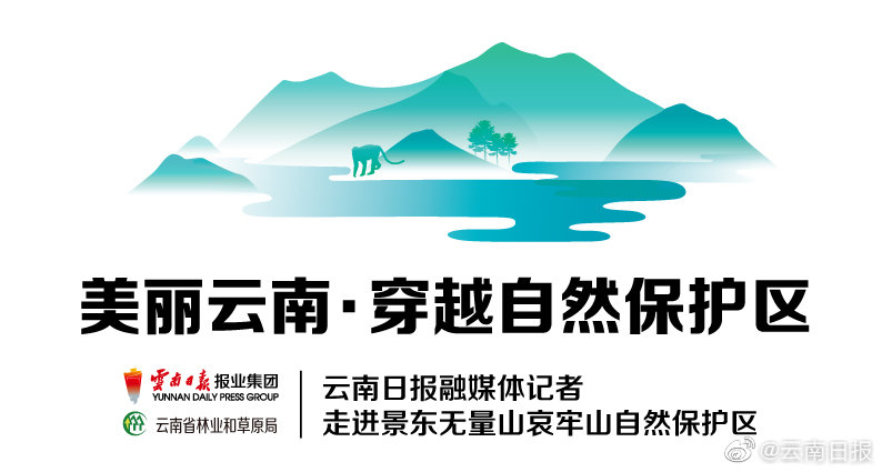 西南联大与梅贻琦日记_游戏云服务器