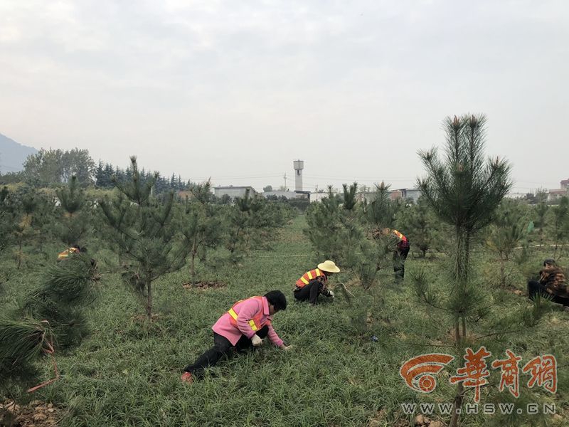 苏州高新:立足高新,转型升级,经营绩效持续实现新突破_云电脑备份