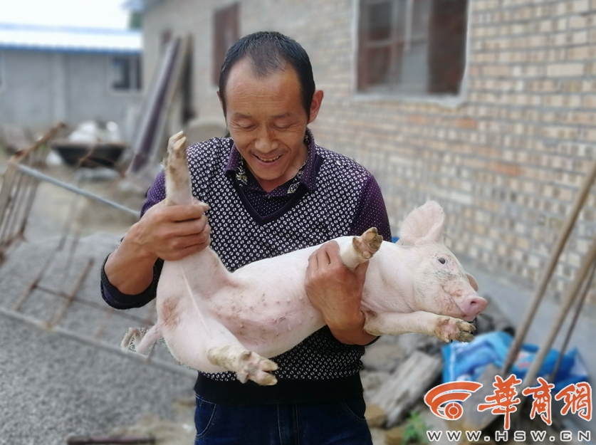 《龙珠超：布罗利》定档5月24日 鸟山明亲自操刀