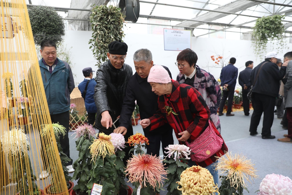 北京地区联合辟谣平台_挂机宝带宽