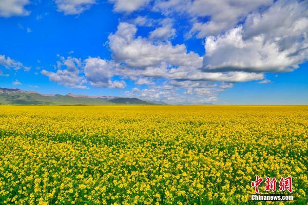 泰禾、阳光100等房企频繁卖项目股权 “补血”背后风险犹存