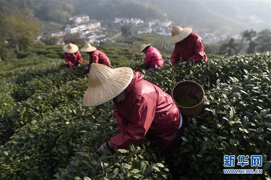 求职受骗高发留学生防上当_虚拟机挂机宝
