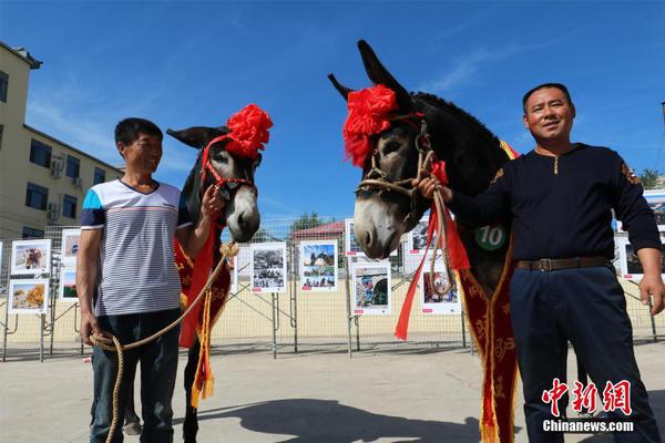 搜狐名医 | 北大肿瘤张关敏:吃药应“踩准点”,每颗药都有它的脾气_CN2服务器独享IP