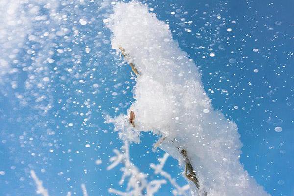 日本明仁天皇退位在即 大批民众参观..