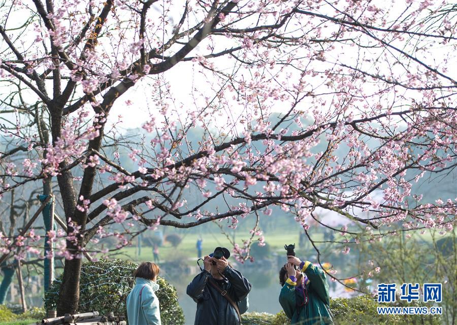 深度：俄为何想邀请中国访问国际空间站_云服务器SSD硬盘