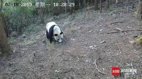 小米、柔宇科技互撕 折叠手机创新归谁？