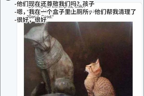 一眼千年!“穿越”古城正定:梦回红楼,情牵三国_CN2服务器哪家便宜