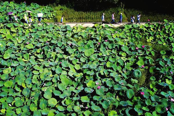 30日视频播2场NBA季后赛：76人vs猛龙 开拓者vs掘金_云电脑还原点