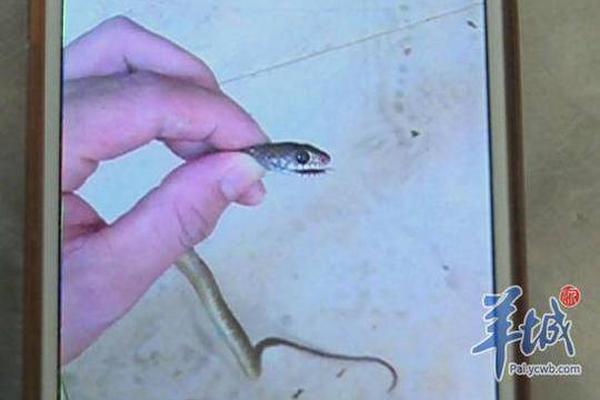 “五一”假期13条高速路易拥堵_9929独享物理机