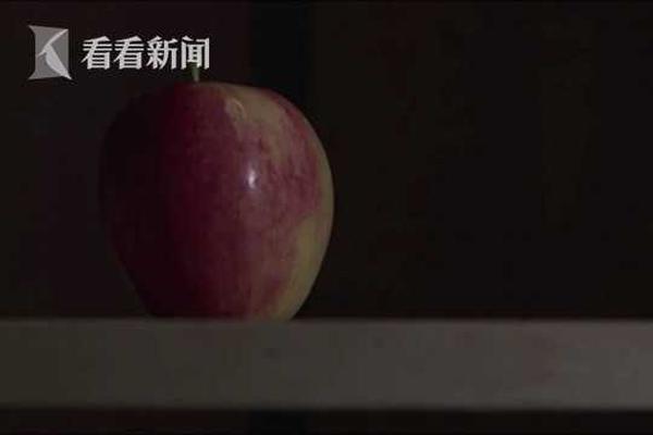 西方领导人未出席影响一带一路论坛举办?外交部回应_9929数据库服务器