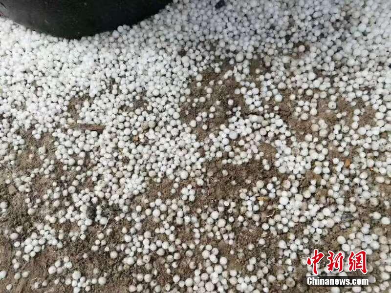 国产“特斯拉”亮相，3.4秒破百，一看定价，车友：来一沓_CN2服务器mtr