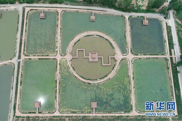 法国多地后悔为巴黎圣母院捐款 撤销捐款承诺_挂机宝机器人