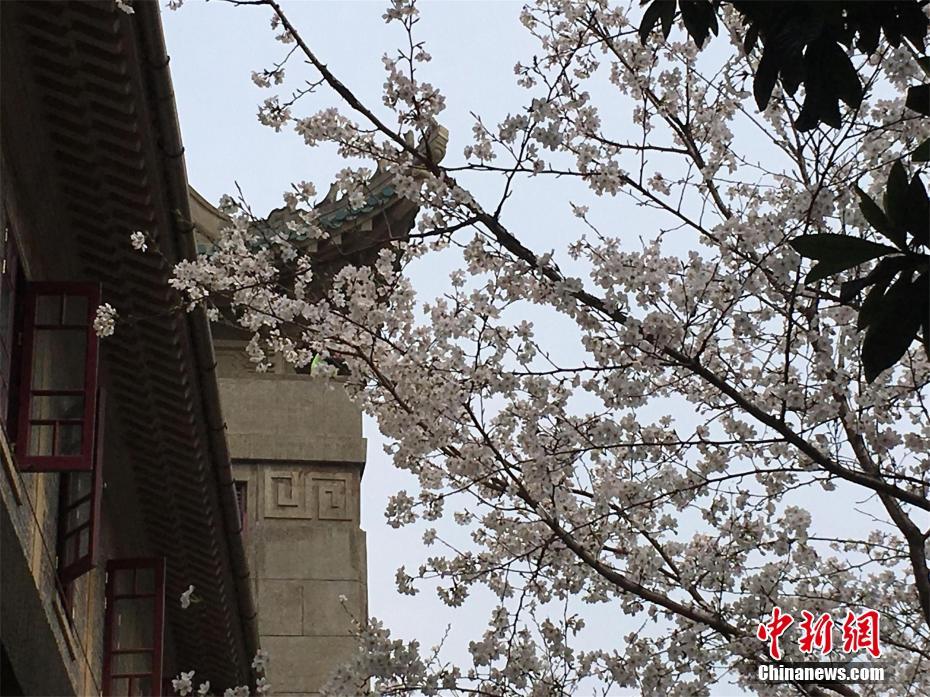 南非洪水过后垃圾“占领”德班港 触..
