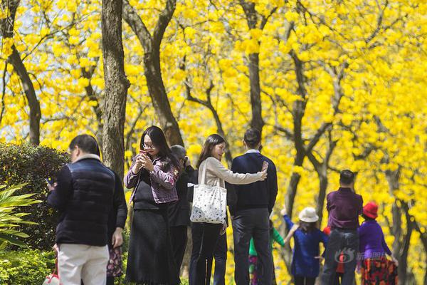 ECS云服务器_CN2远程开发