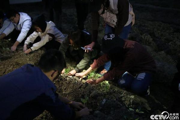 未来七日内，这些生肖好运来财运旺！