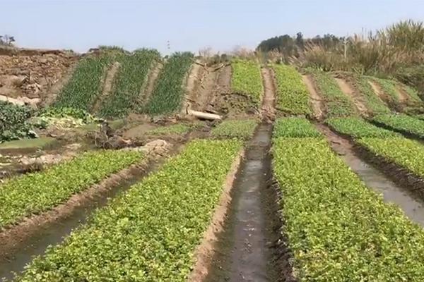 物理老师做科普视频粉丝超千万_挂机宝山东