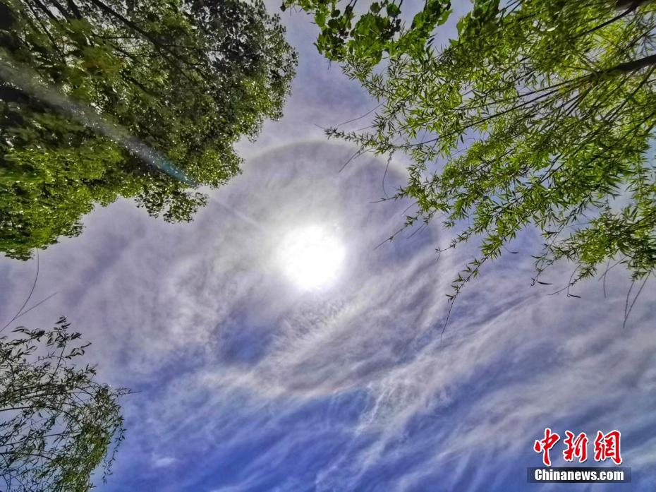 为大场面而生！季后赛才见卡神 新版皮蓬却成猛龙乔丹_9929高并发业务