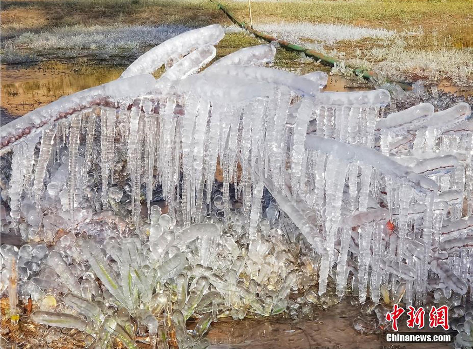 Selina究竟有没有跟张轩睿在一起？_CN2企业邮箱