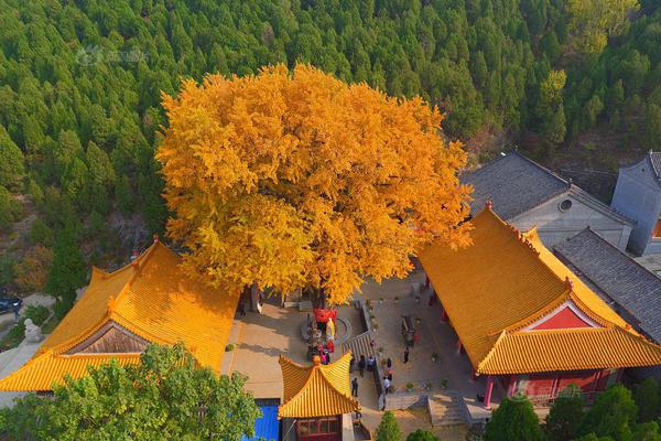 德甲-科曼助攻格纳布里救主 拜仁1-1险平纽伦堡_云服务公司
