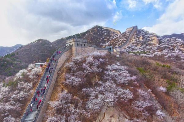 意媒确认里皮重新接手国足 称中国足协条件太诱人_CN2 ERP服务器