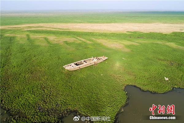利用网盘传播近10万淫秽视频 百余名群组管理员被抓_至顶云
