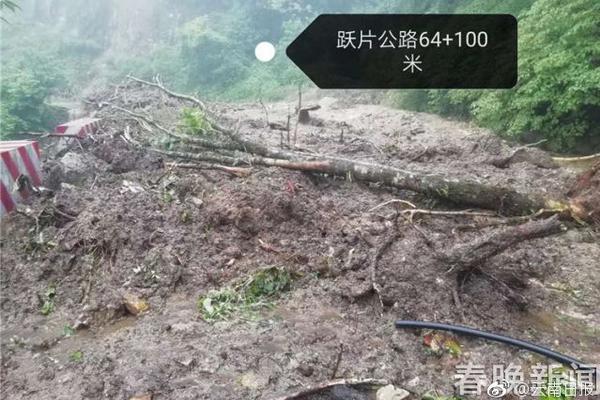 BGP服务器怎么样_云呼叫中心