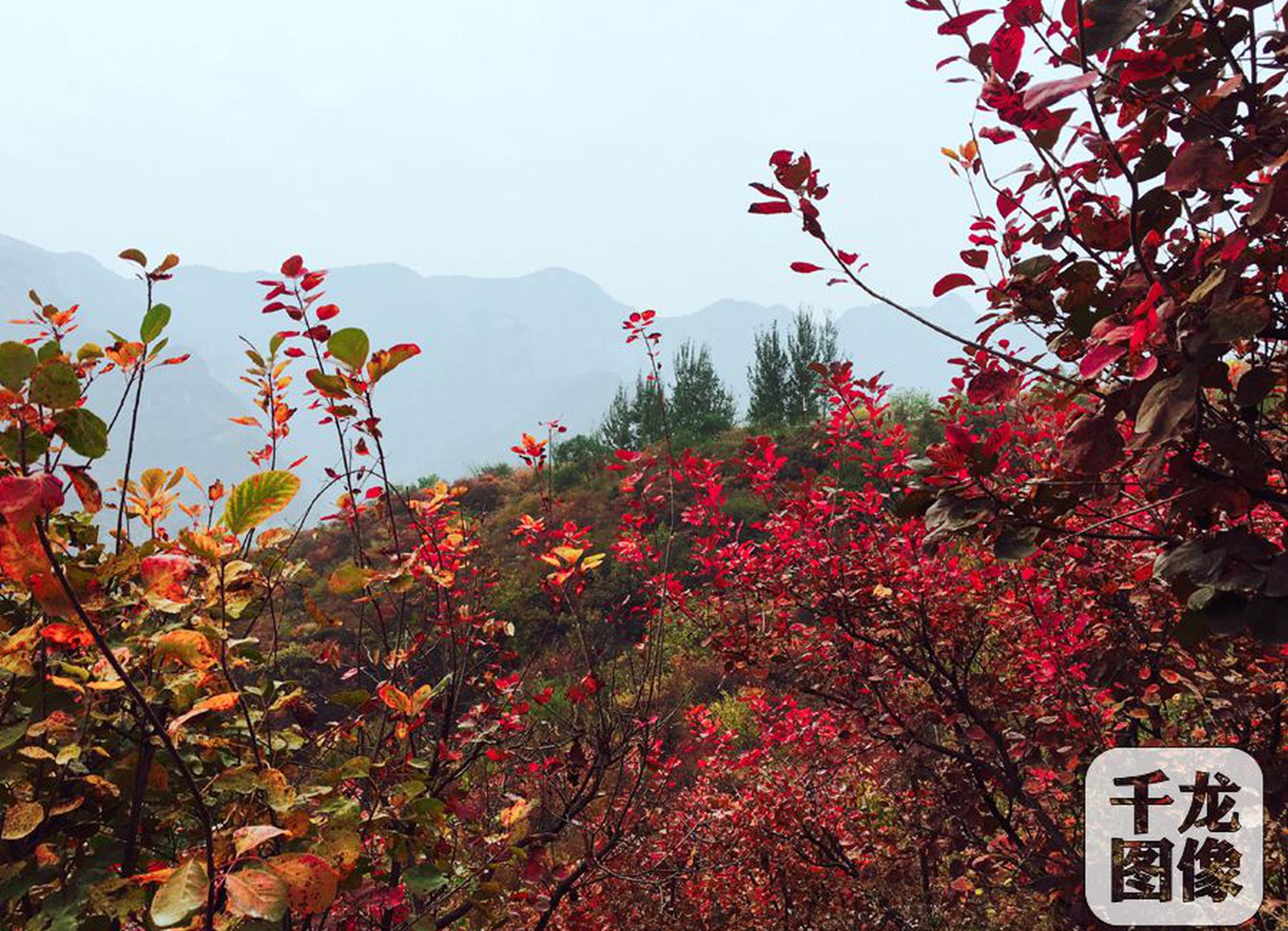 希望工程触动无数人的照片主人公们后来怎么样了?_CN2爬虫服务器