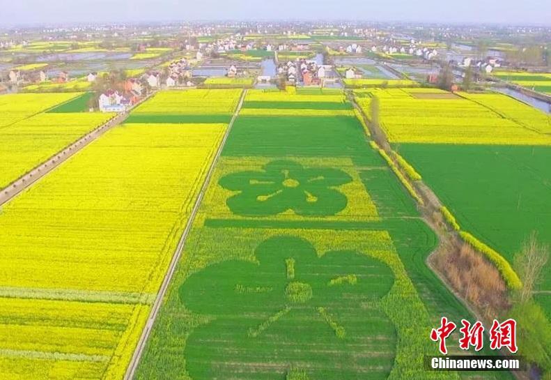 京籍外区无房家庭在密云就读需满足区内租房3年以上