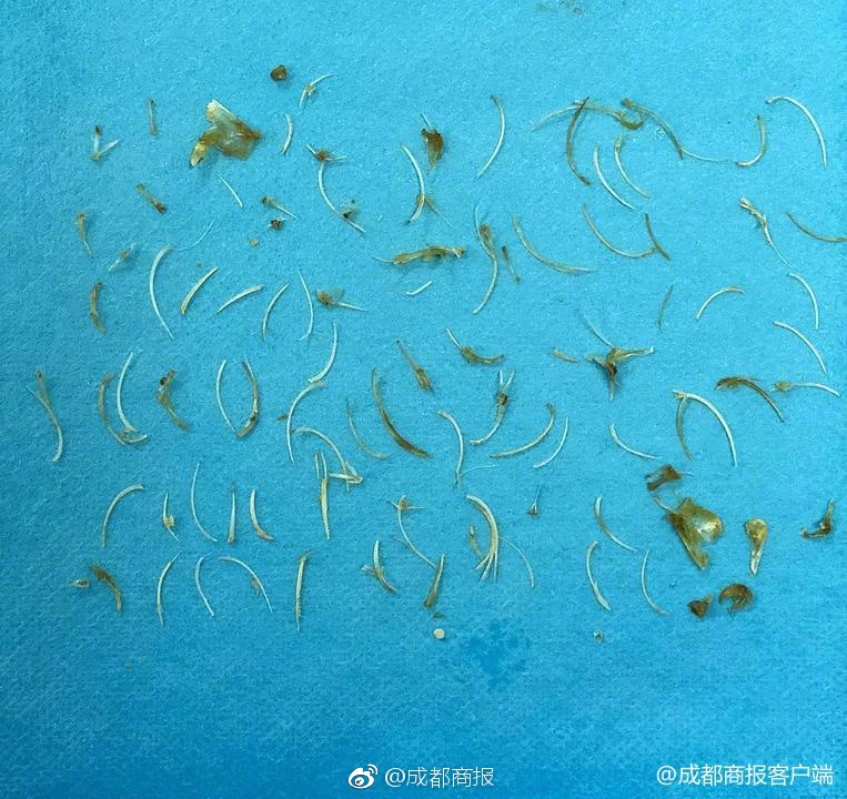 逾百幅徐悲鸿南洋时期艺术作品长沙展出_9929低价VPS