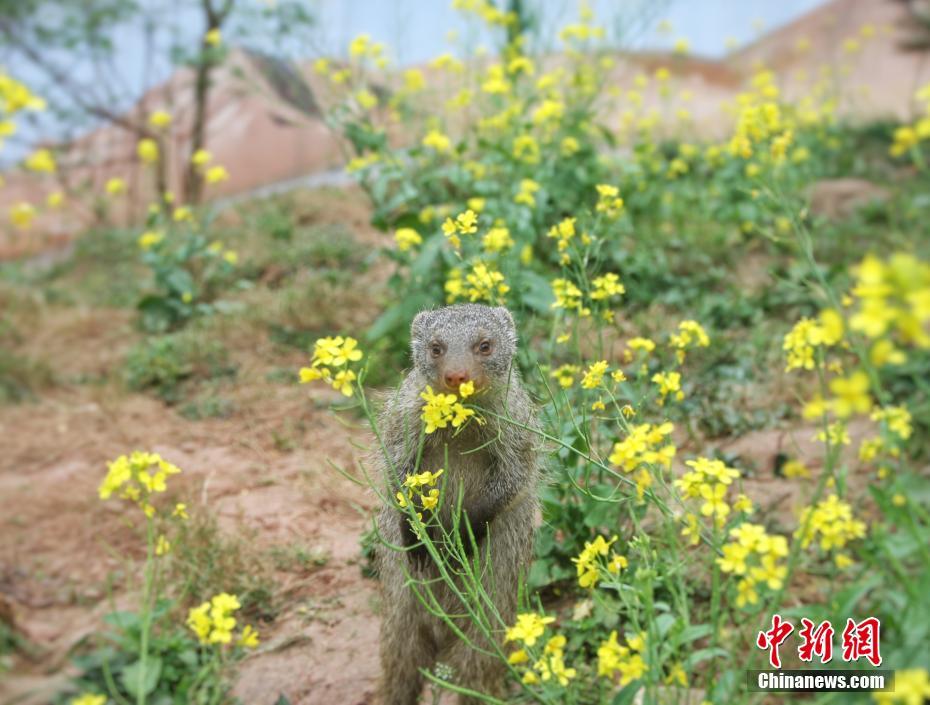 意大利返还796件中国流失海外文物国博首展_9929欧洲VPS