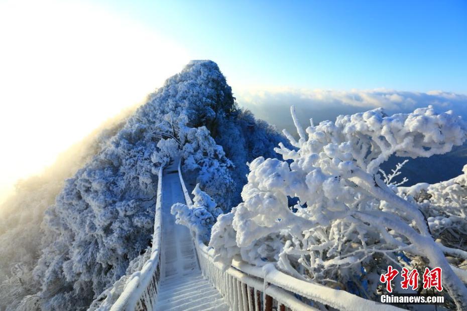 青岛3岁神童走红，“神童教育”的背后，是家长们的专权！_挂机宝湖北襄阳