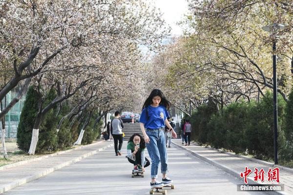 交通运输部:取消高速公路省界收费站方案将出台_挂机宝不掉线
