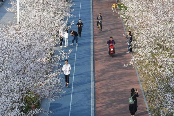 交通运输部:取消高速公路省界收费站方案将出台_挂机宝不掉线