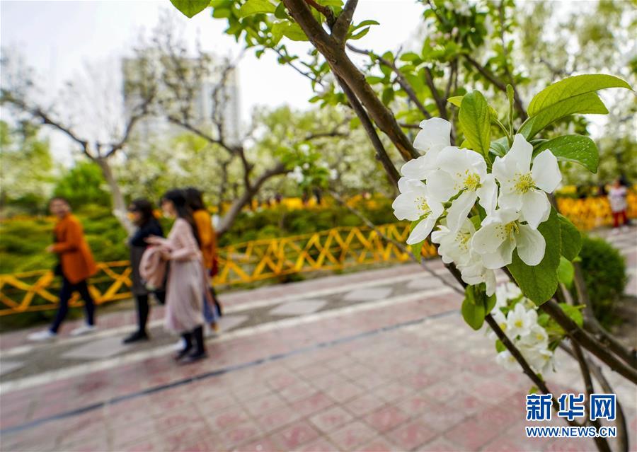 更具诚意和性价比，2019款领克01试驾_弹性云服务器
