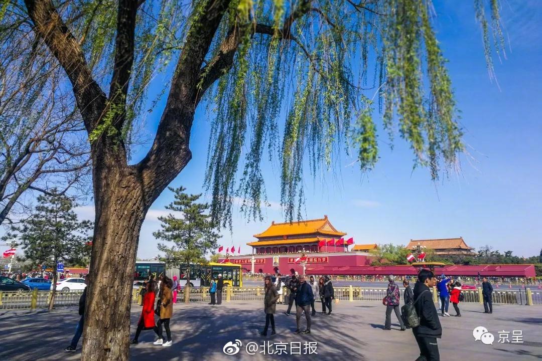 白百何高调复出后的造型越来越知性