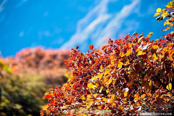.ART是什么域名_海马云电脑