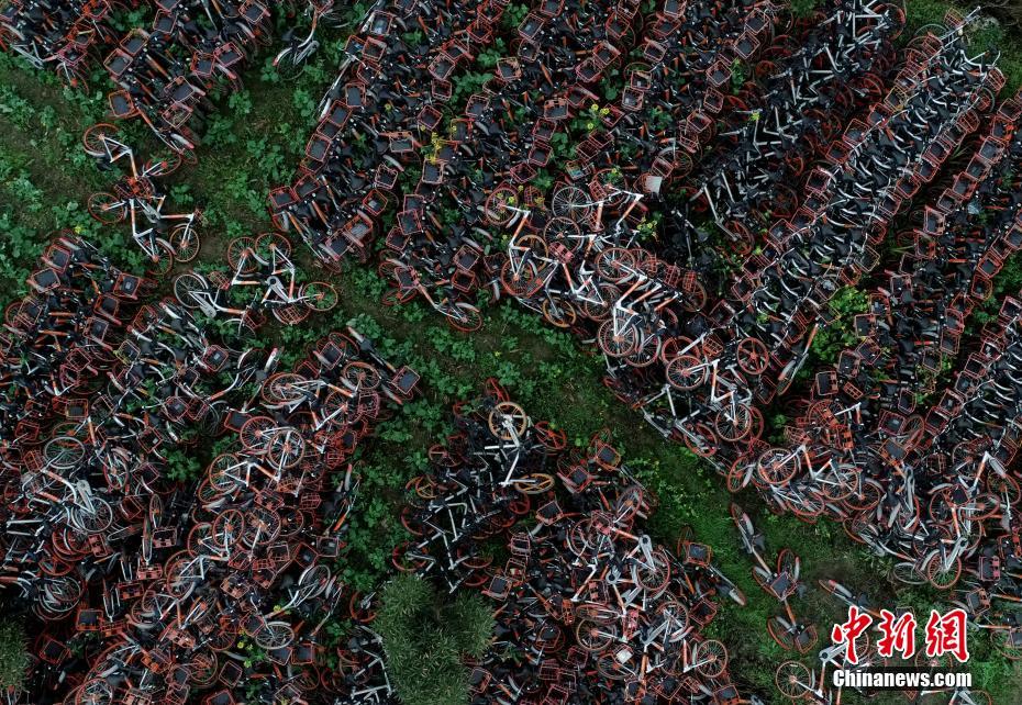 特斯拉降亏7亿美元 专家斥马斯克对安全缺乏敬畏_挂机宝代码服务器