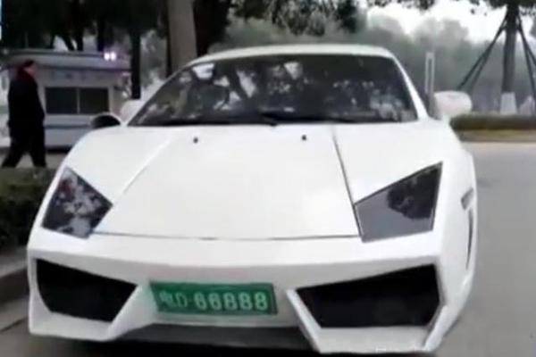 美国男子被自己养的大鸟杀死，他的100只神奇动物将被..._云服务器物理机
