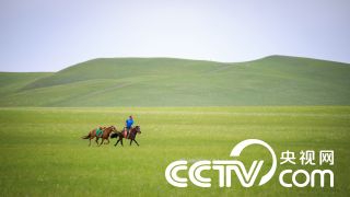 汉藏语系在新石器时代晚期起源中国北方