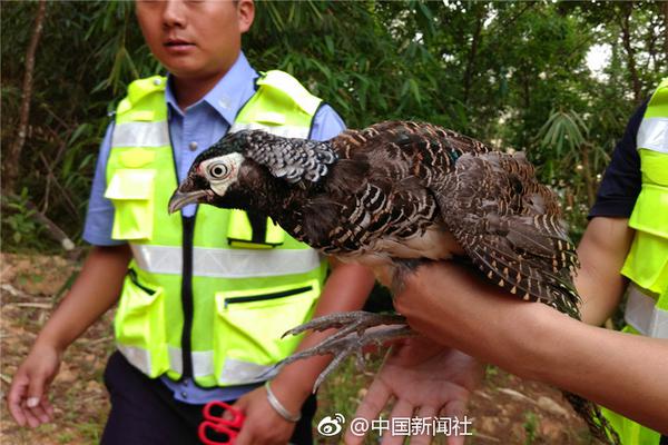 盒马被曝水产品含抗生素，食品中的抗生素会带来哪些危害？