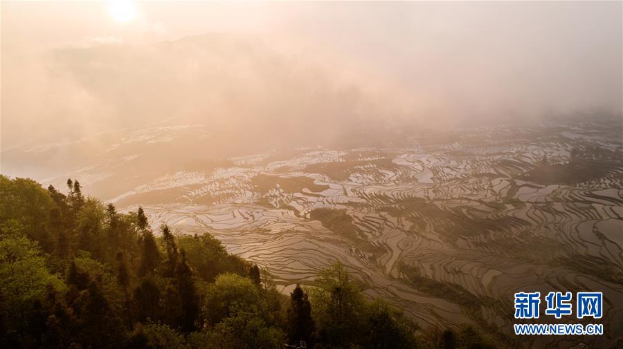 如何打破水土不服的“魔咒”_大连云服务器